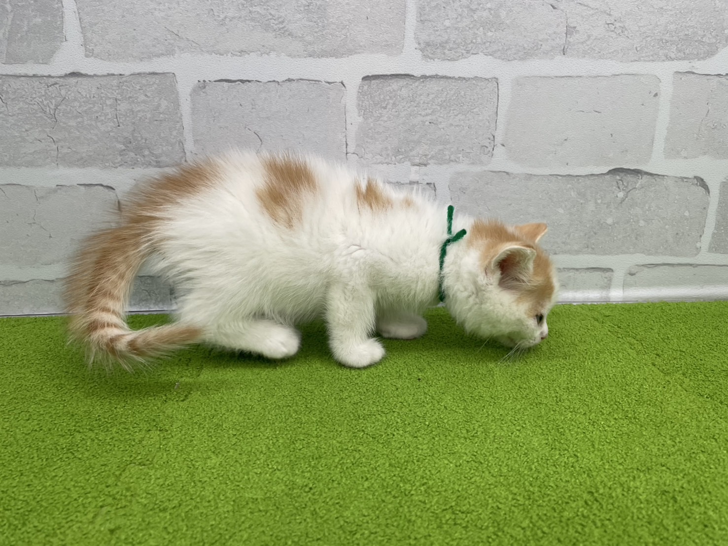 赤ちゃん写真2-2