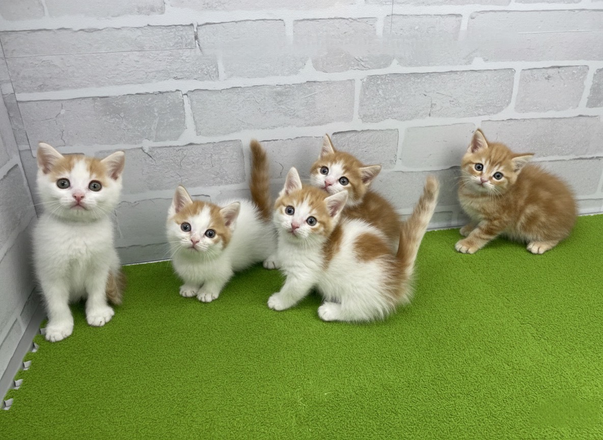 赤ちゃん写真2-3