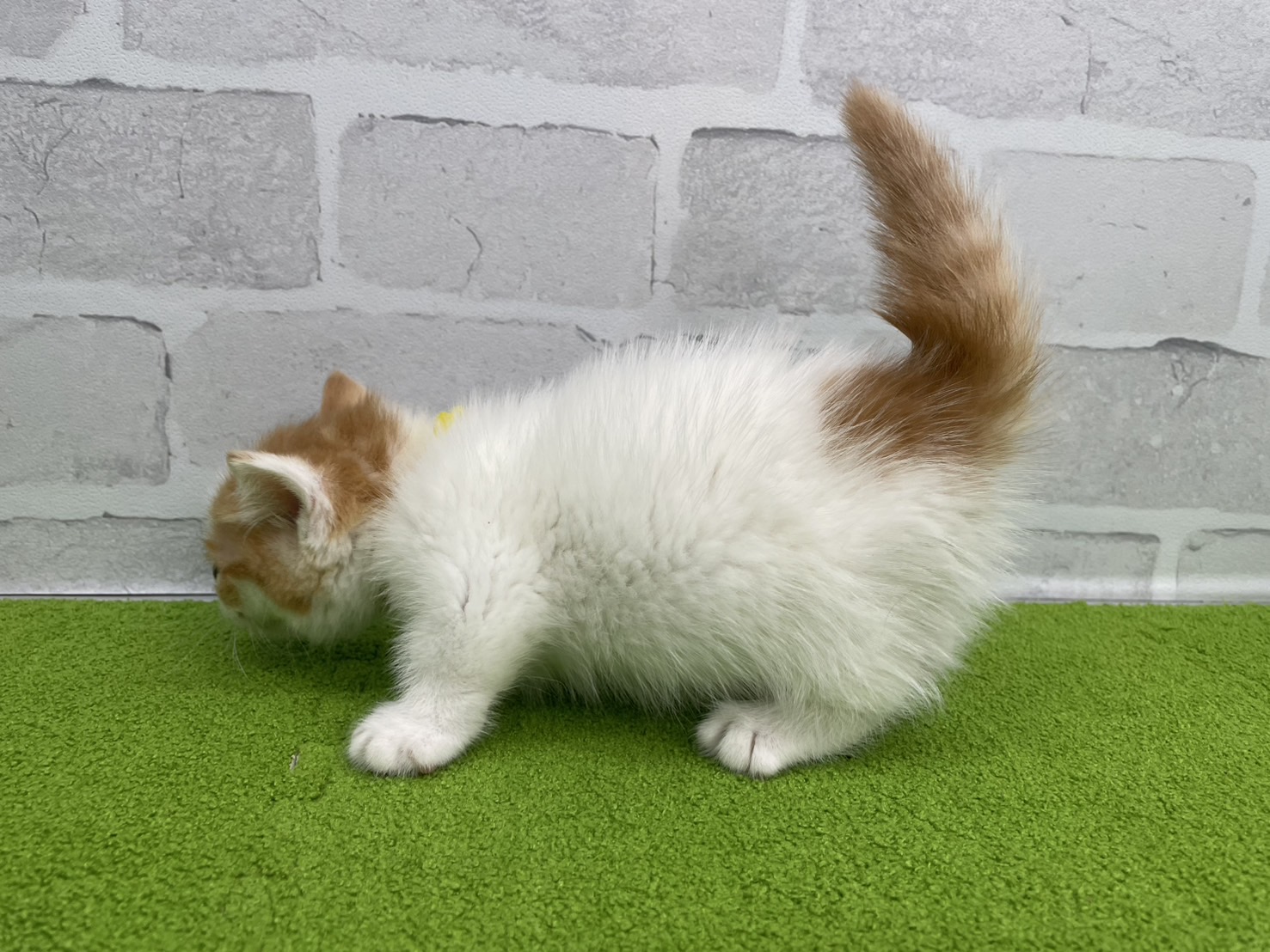 赤ちゃん写真2-2