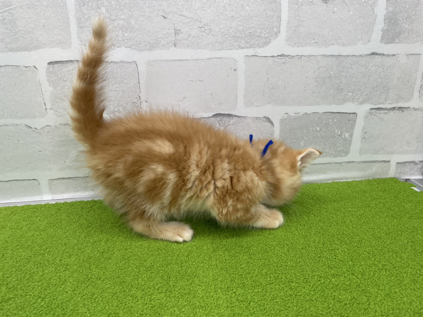 赤ちゃん写真3-2