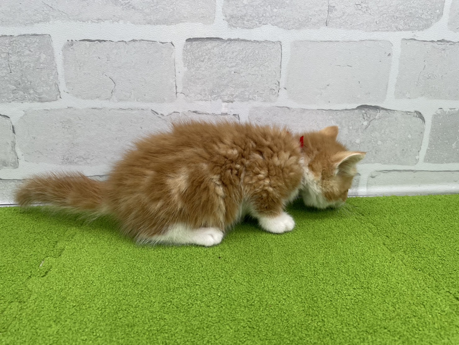 赤ちゃん写真3-2