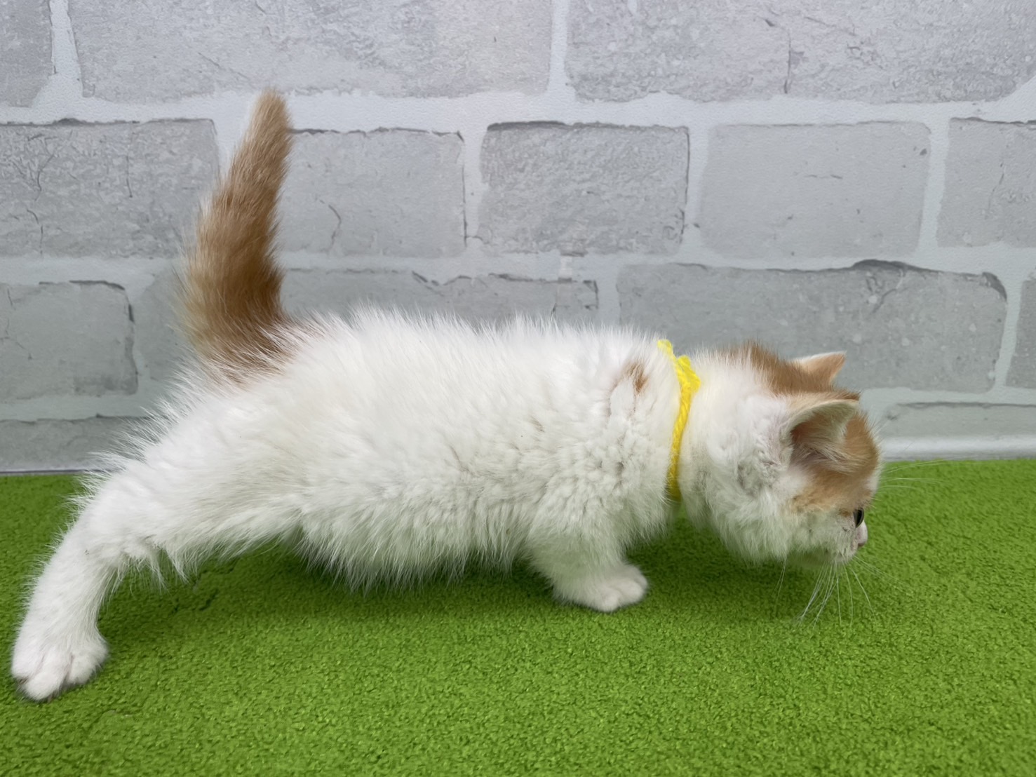 赤ちゃん写真3-2