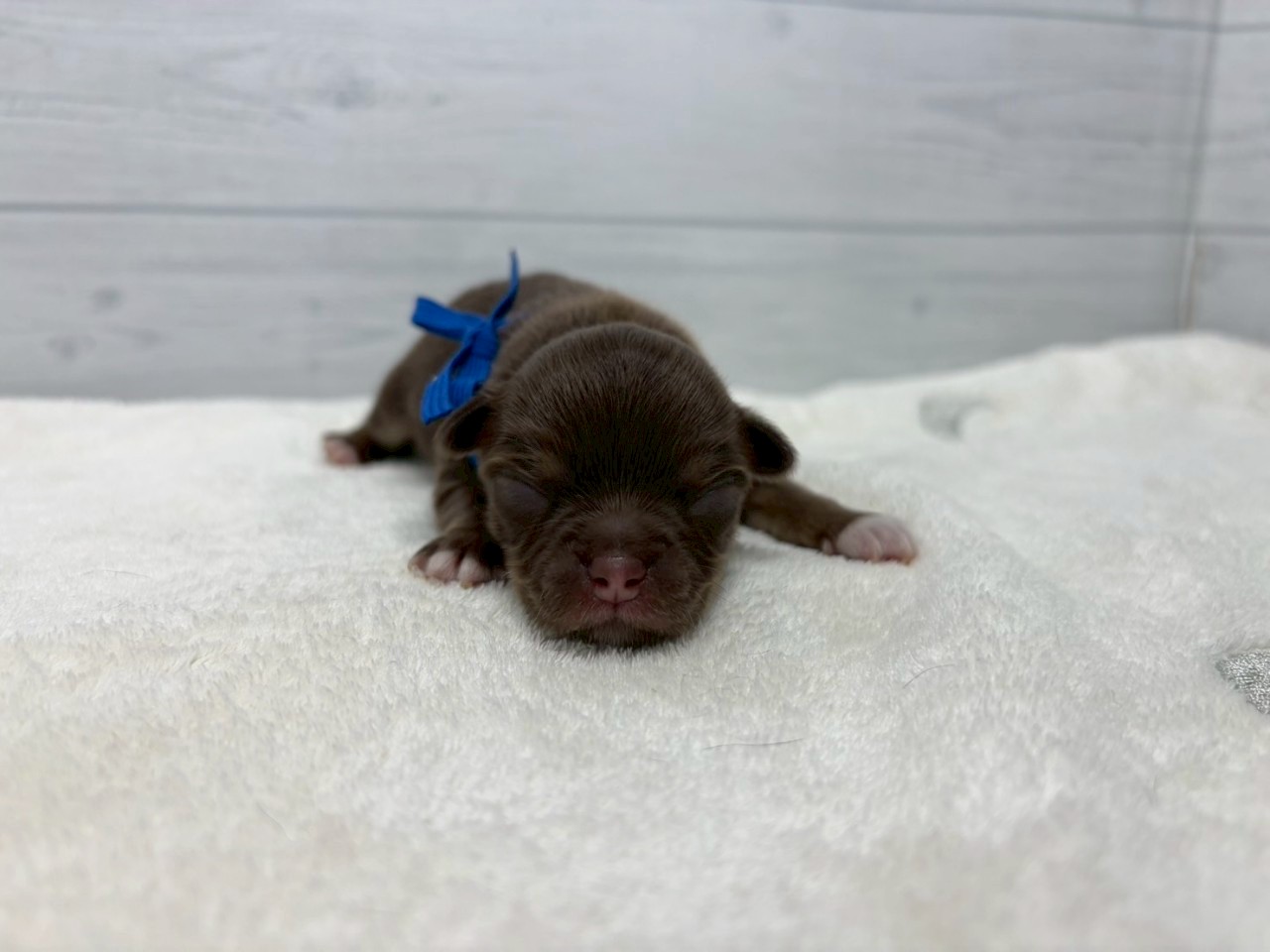 赤ちゃん写真1-1