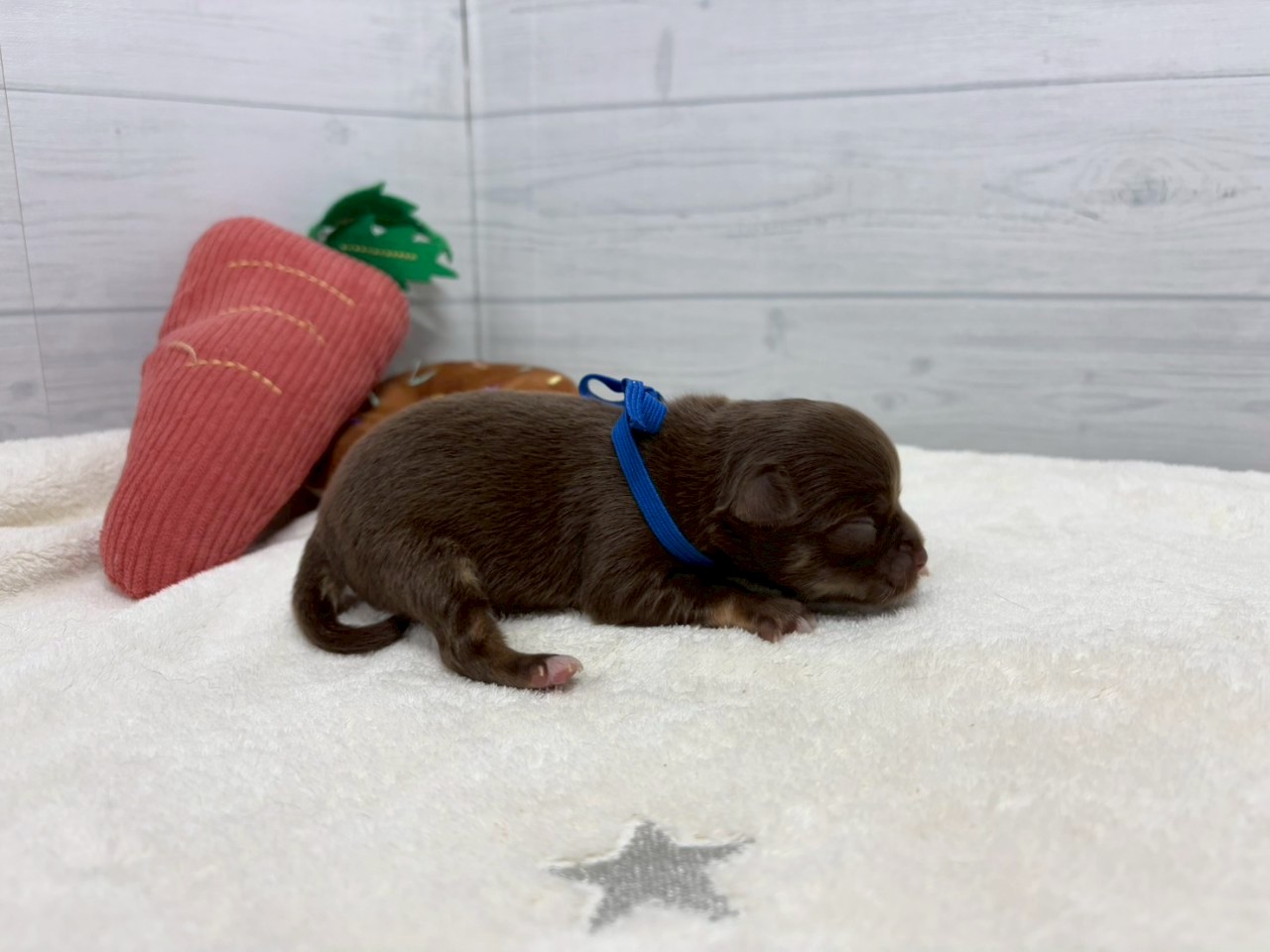 赤ちゃん写真1-2