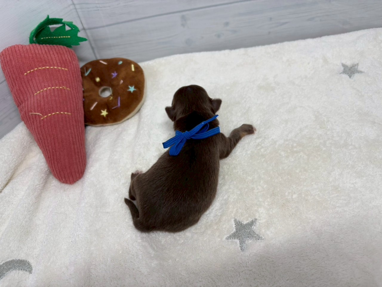 赤ちゃん写真1-3