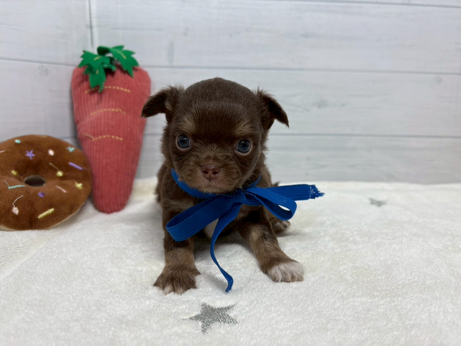 赤ちゃん写真2-1