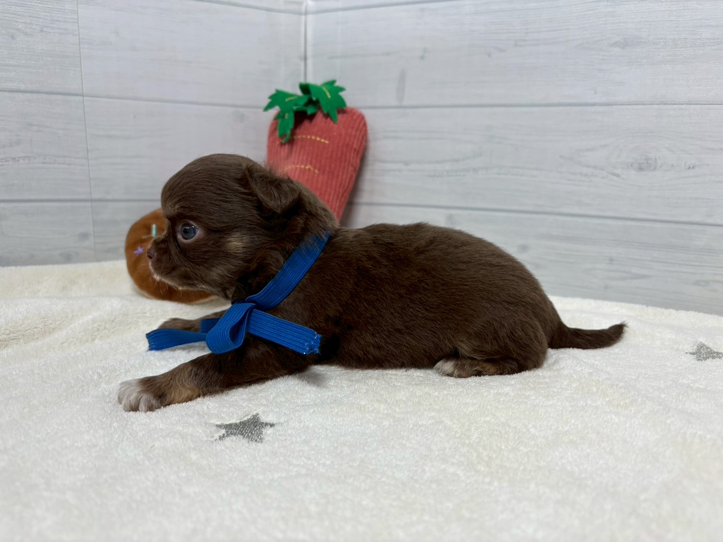 赤ちゃん写真2-2