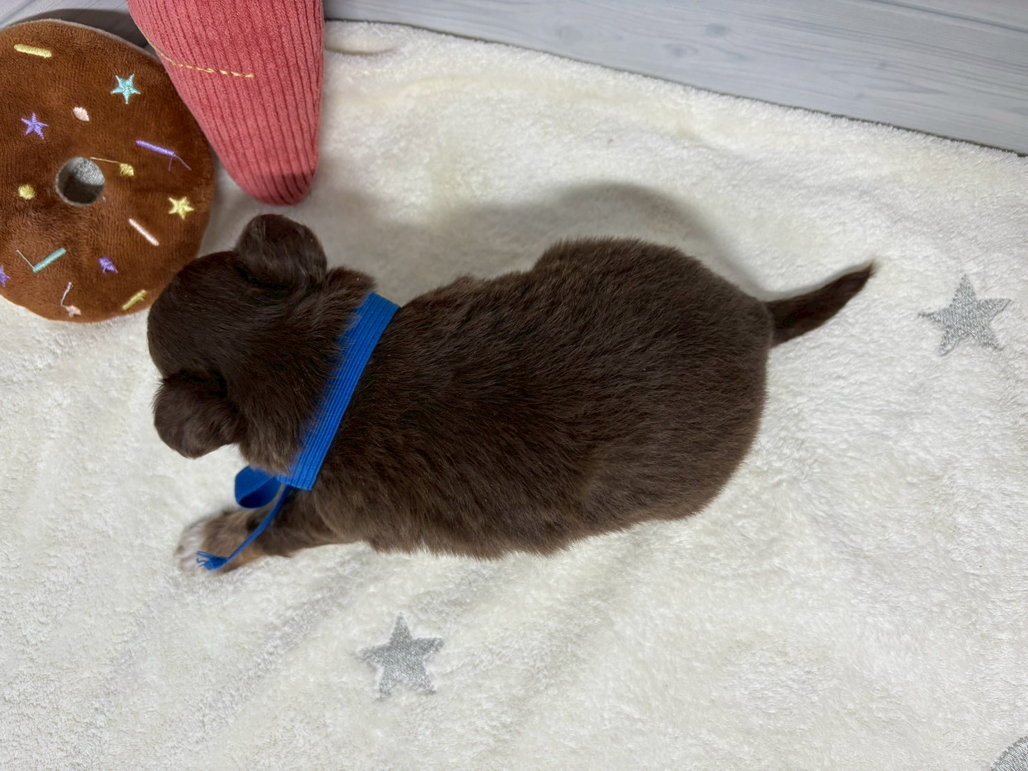 赤ちゃん写真2-3