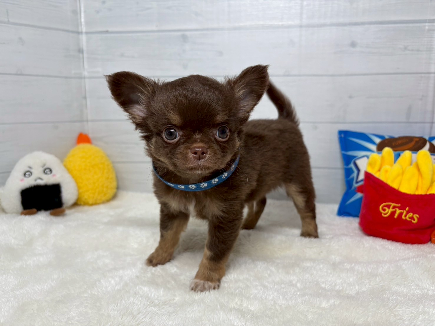 赤ちゃん写真3-1