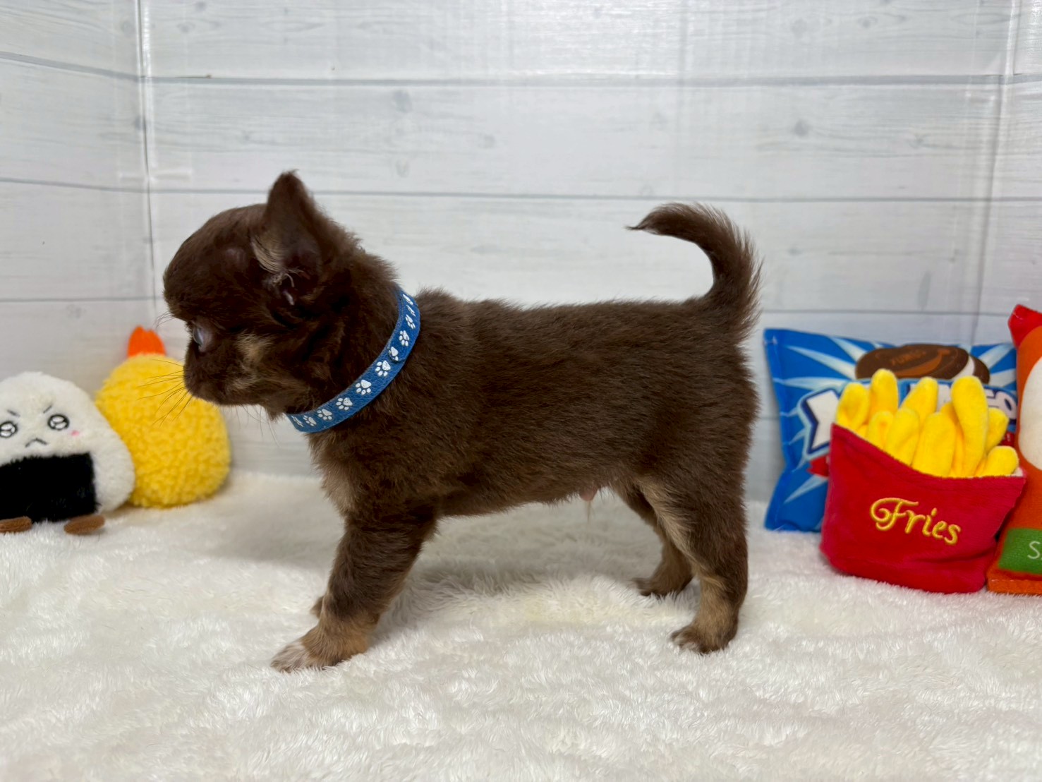 赤ちゃん写真3-2