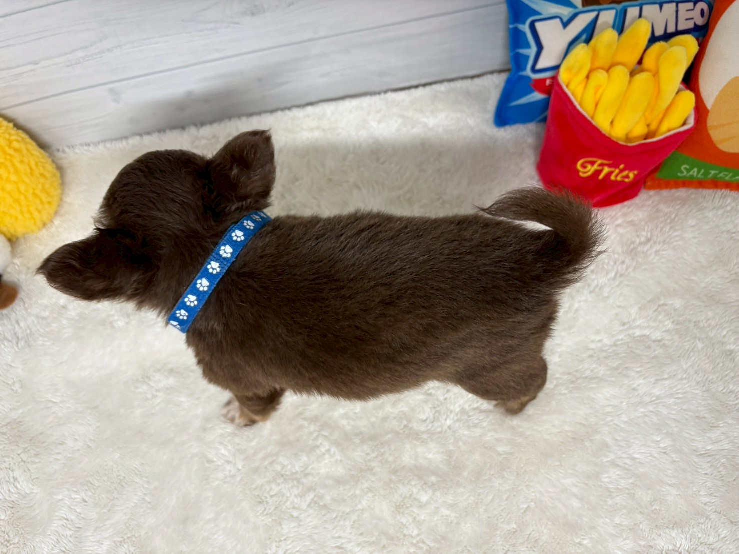 赤ちゃん写真3-3