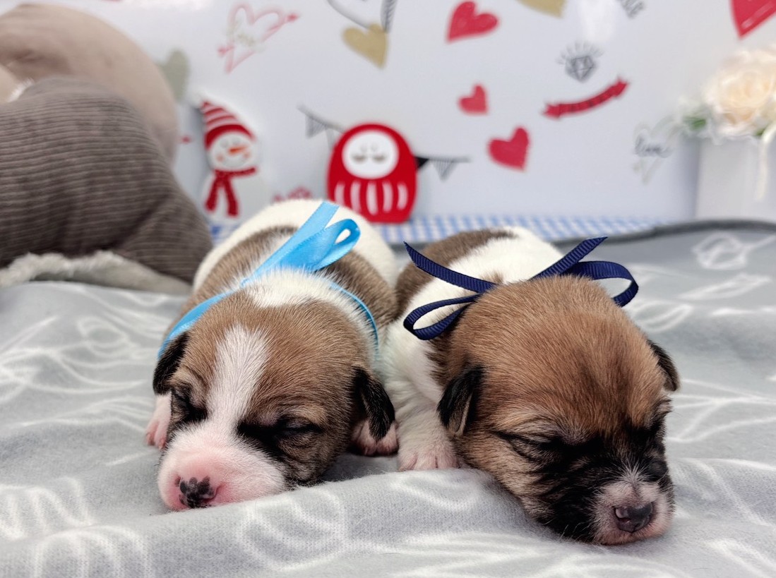 赤ちゃん写真1-3