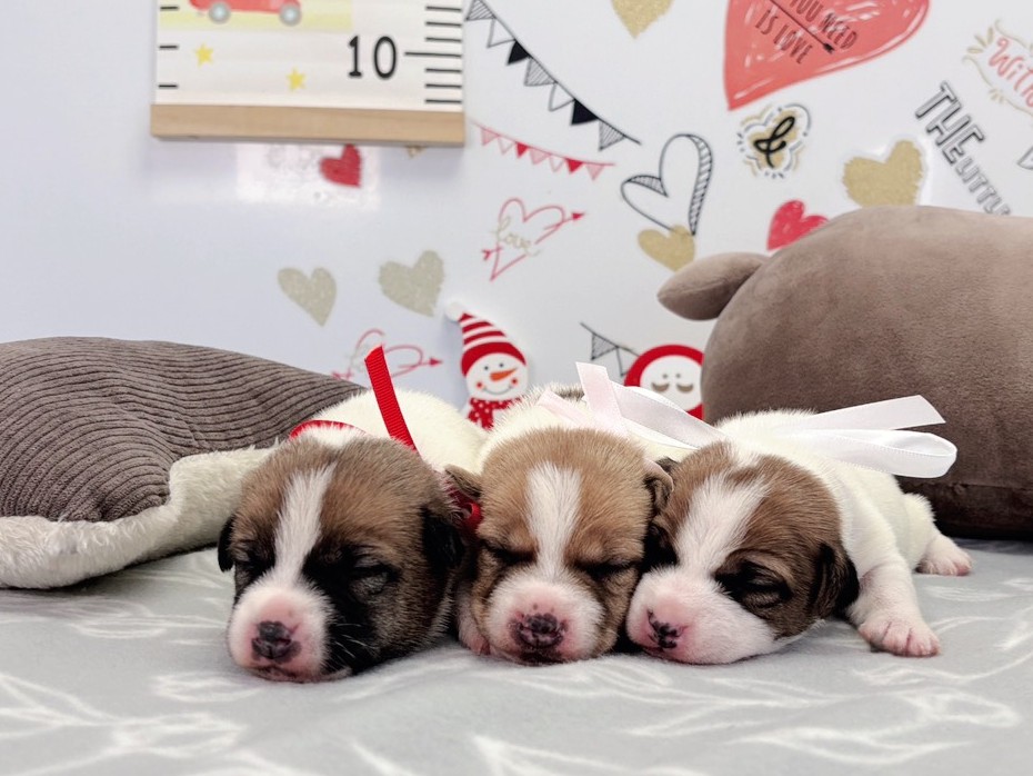 赤ちゃん写真1-3