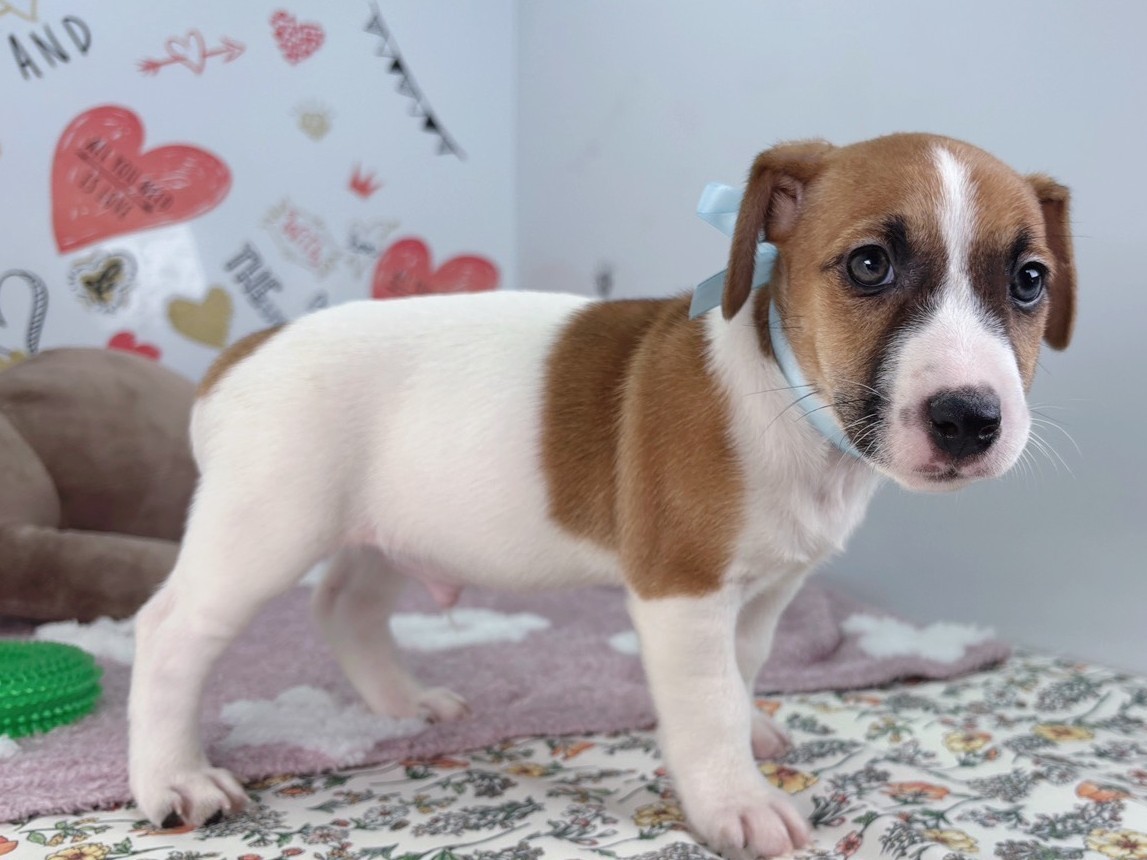 赤ちゃん写真2-2