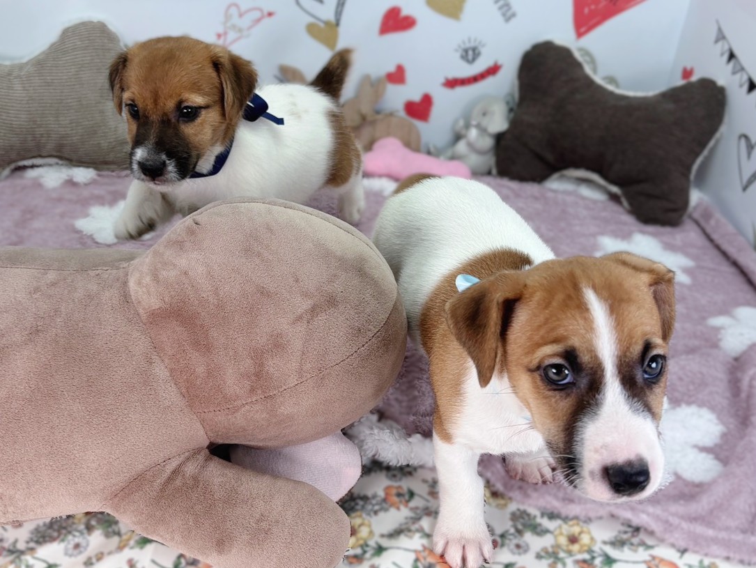 赤ちゃん写真2-3