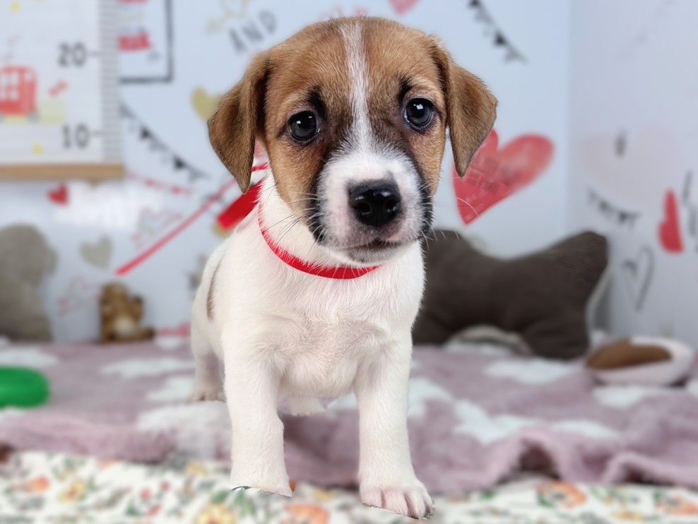 赤ちゃん写真2-1