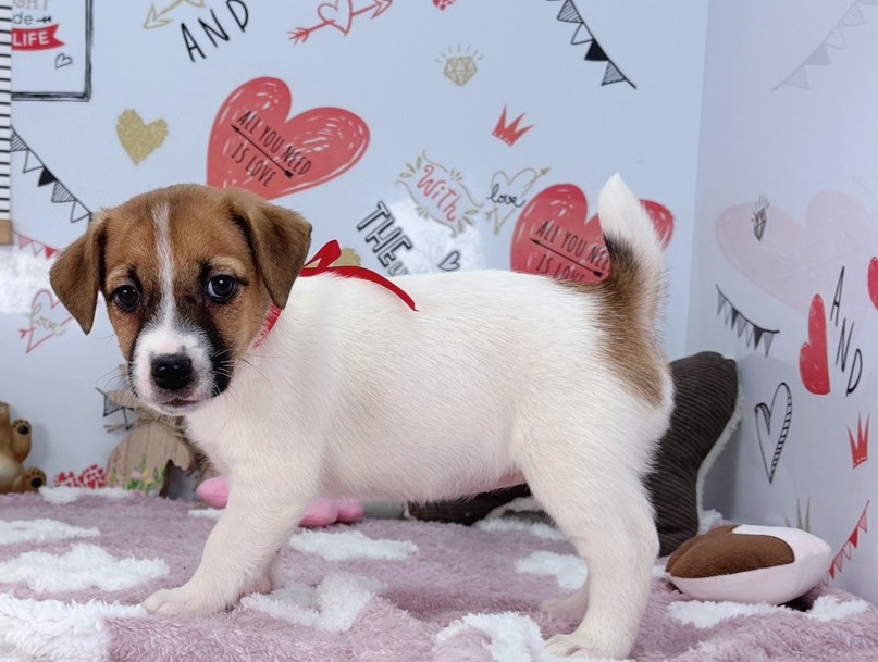 赤ちゃん写真2-2