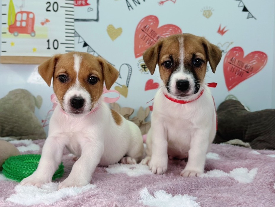 赤ちゃん写真2-3