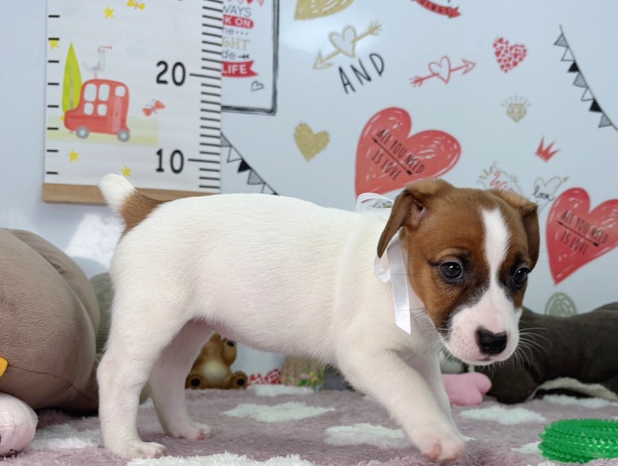 赤ちゃん写真2-2