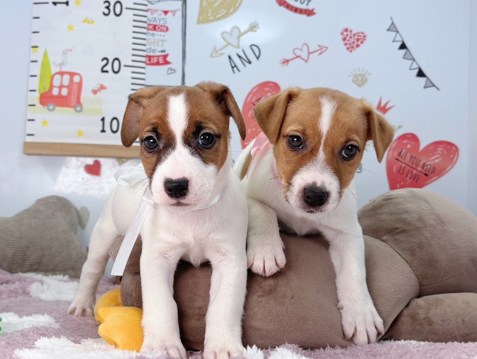 赤ちゃん写真2-3