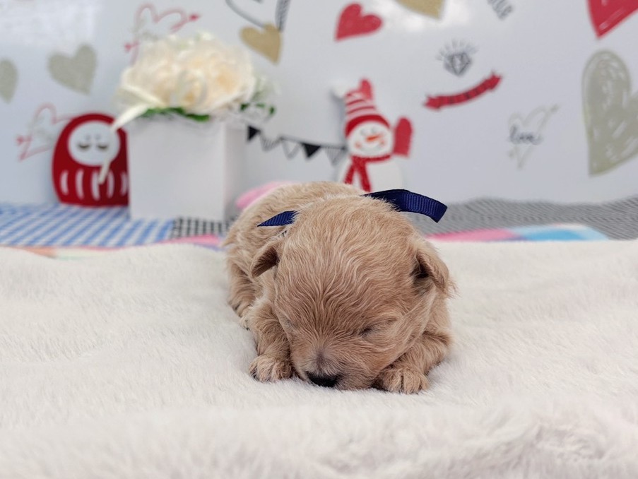 赤ちゃん写真1-1