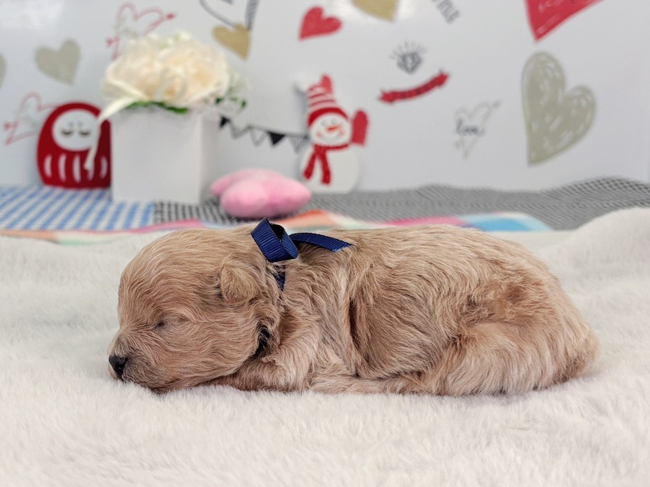 赤ちゃん写真1-2