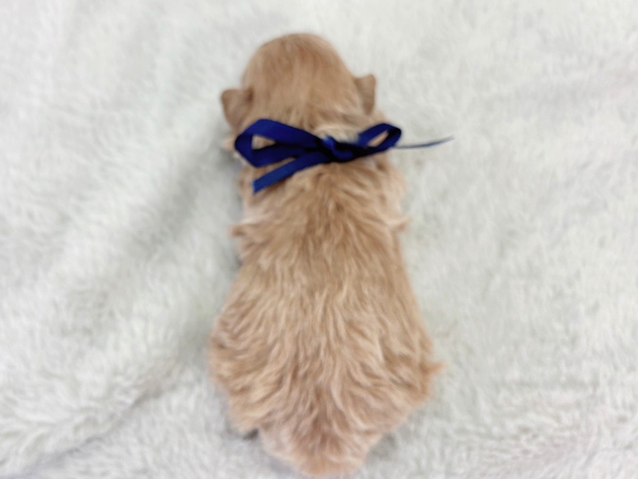 赤ちゃん写真1-3