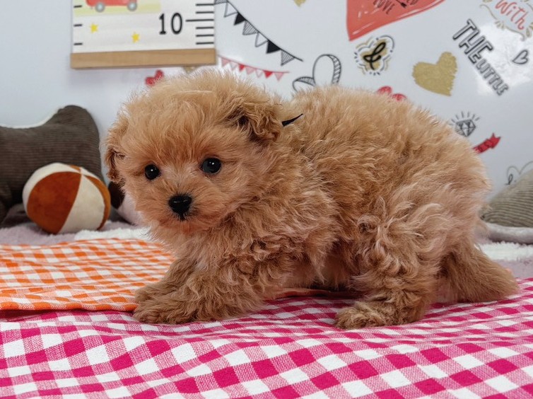 赤ちゃん写真2-2