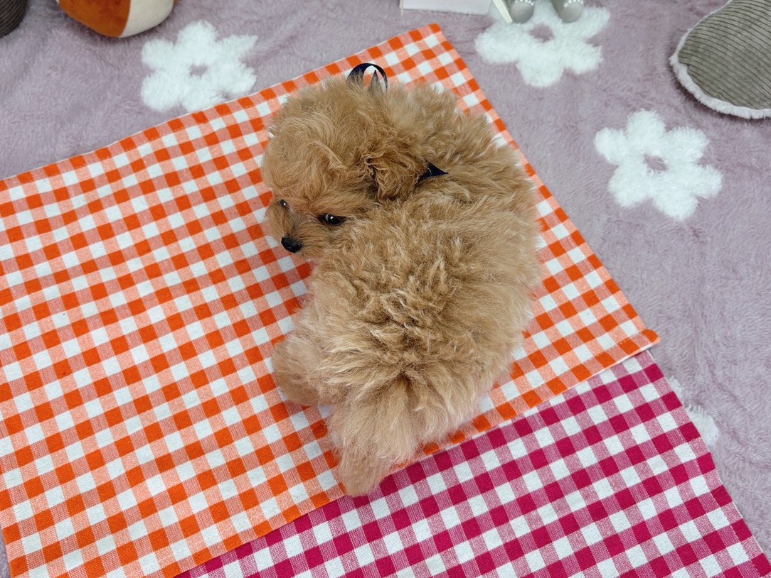 赤ちゃん写真2-3