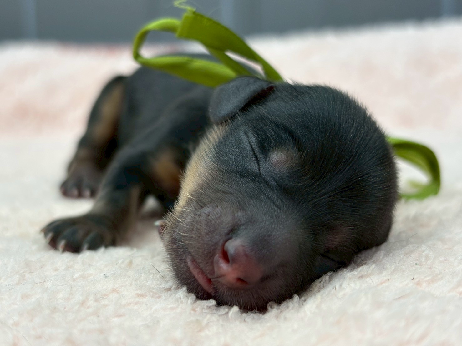 赤ちゃん写真1-1