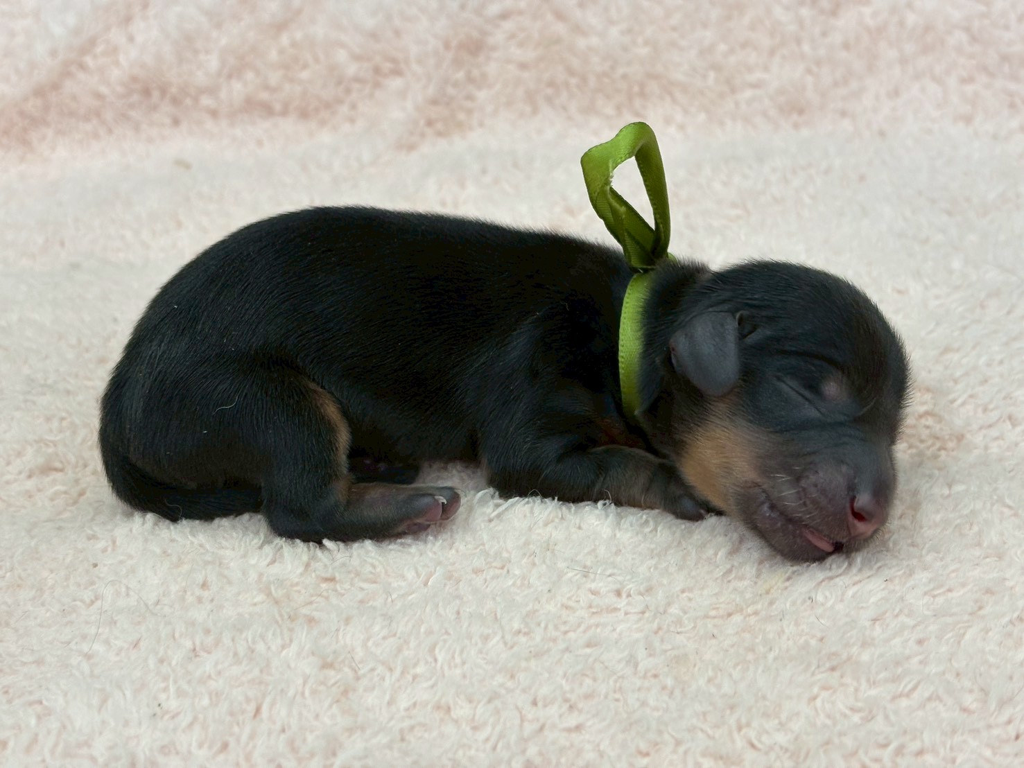 赤ちゃん写真1-2