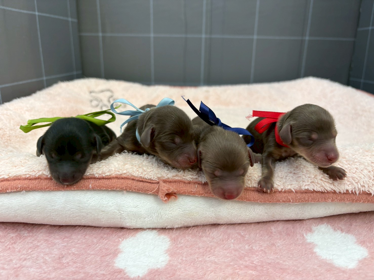 赤ちゃん写真1-3