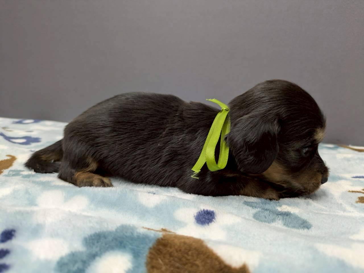 赤ちゃん写真2-2