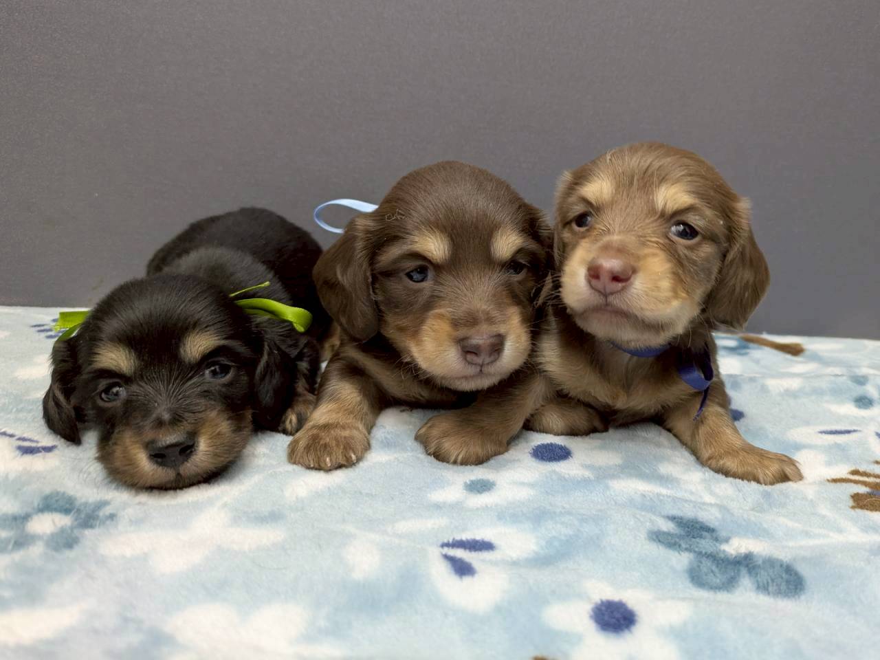 赤ちゃん写真2-3