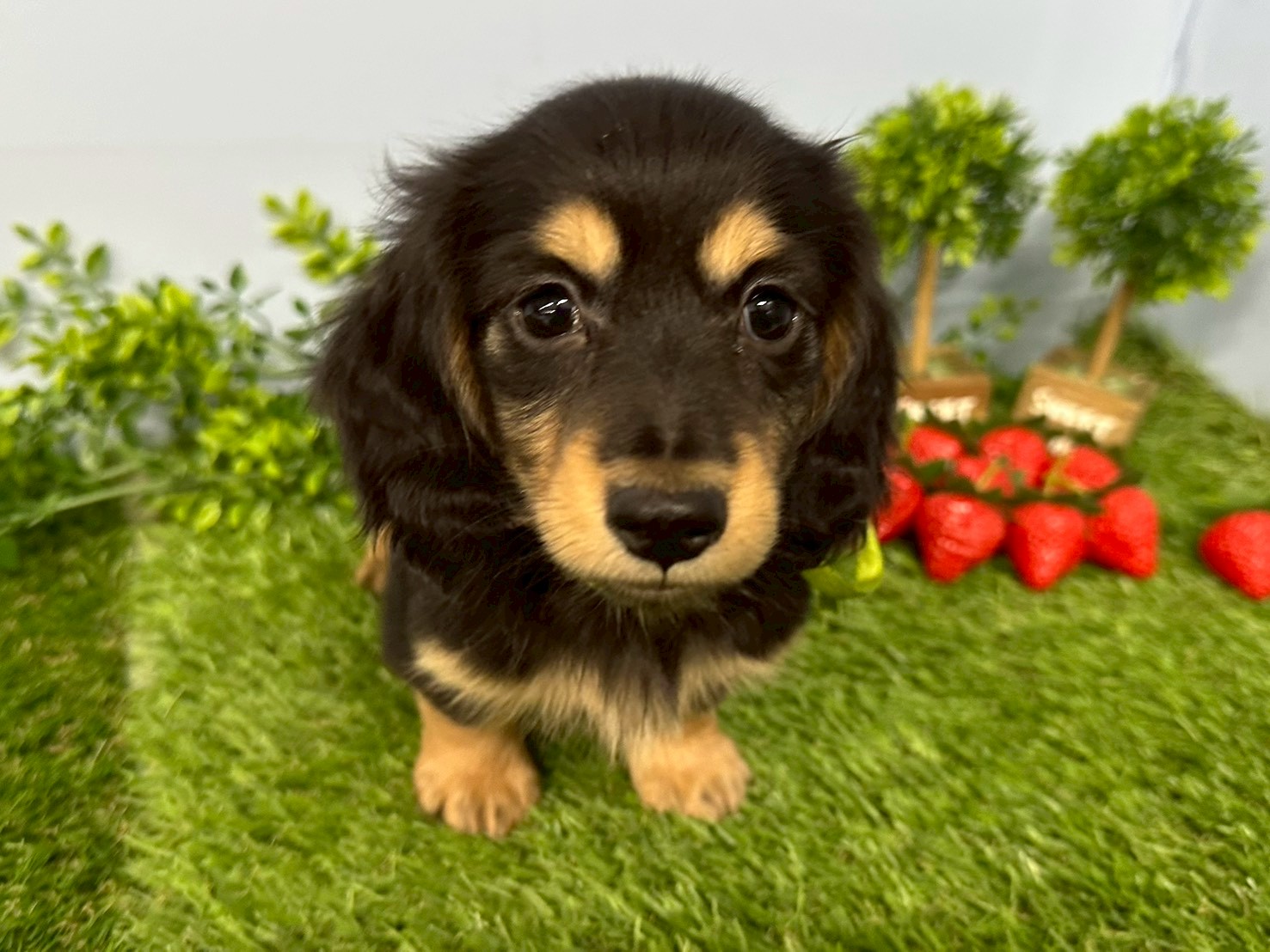 赤ちゃん写真3-1