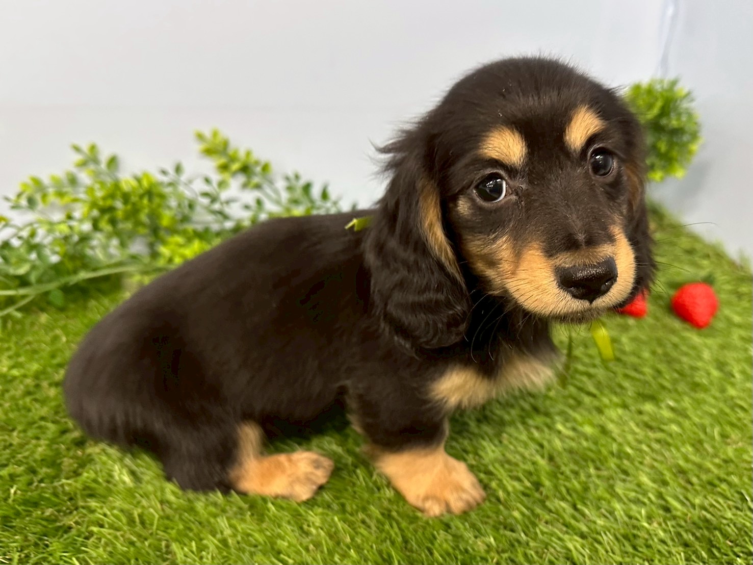 赤ちゃん写真3-2