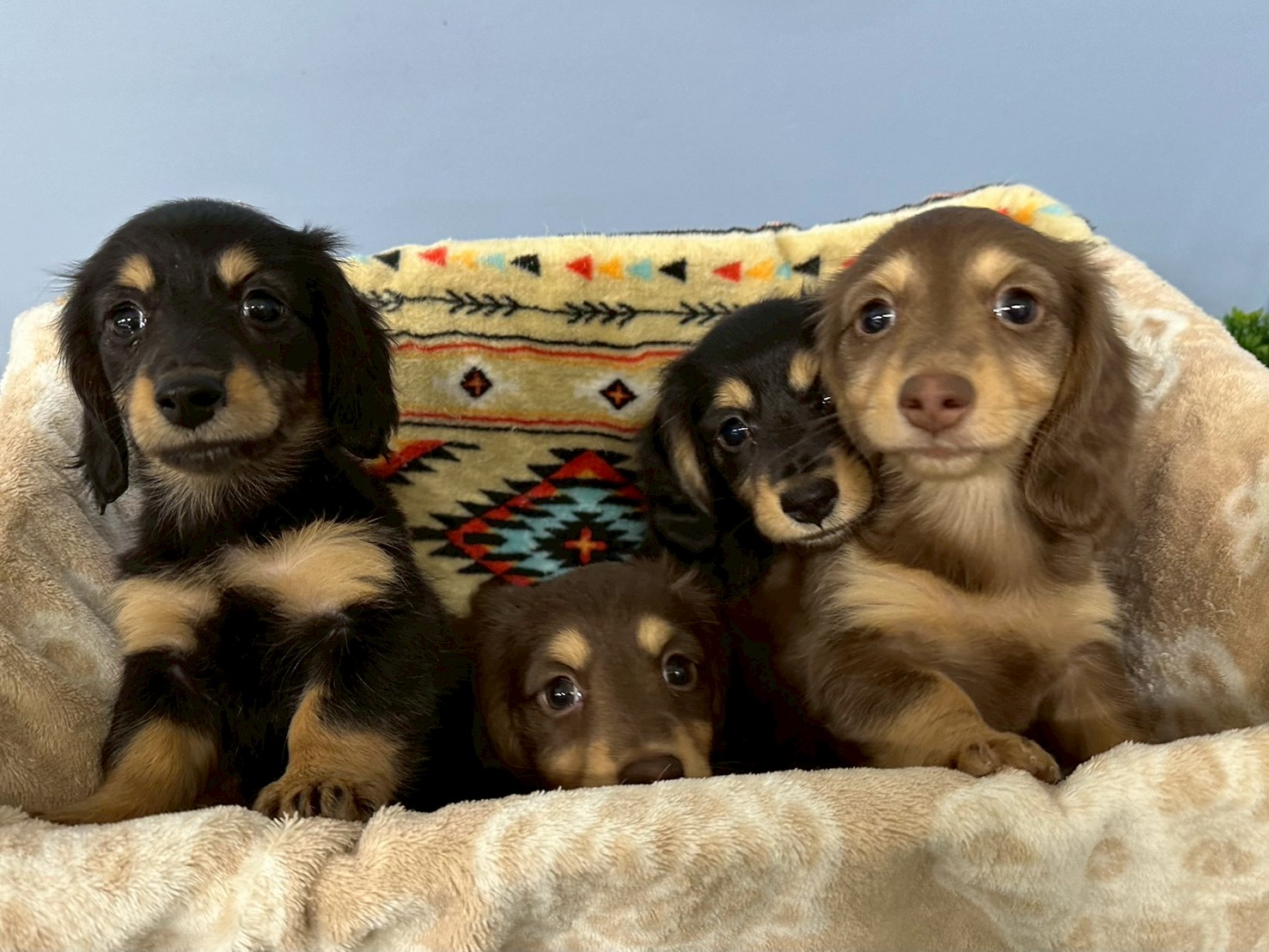 赤ちゃん写真3-3