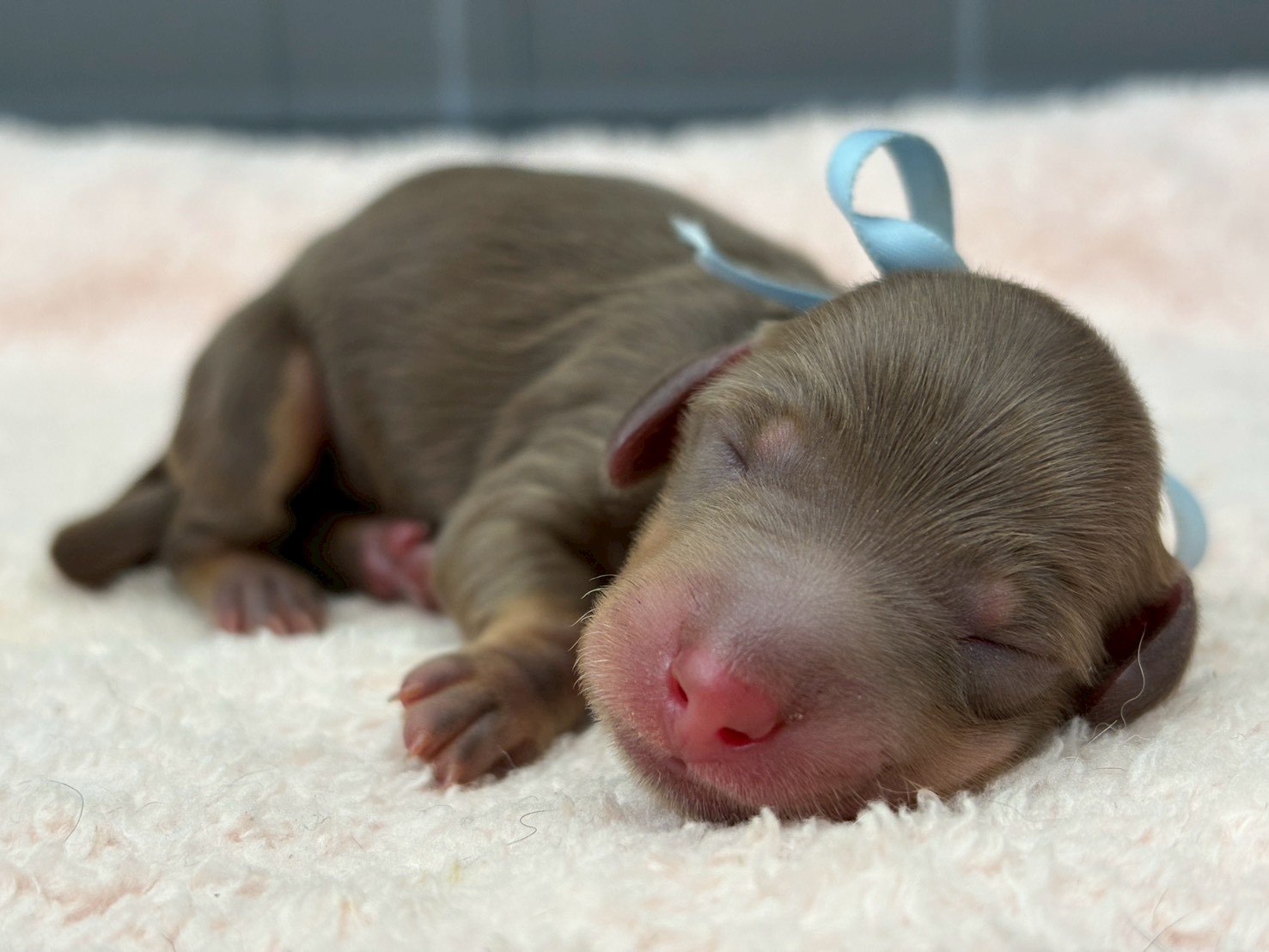 赤ちゃん写真1-1