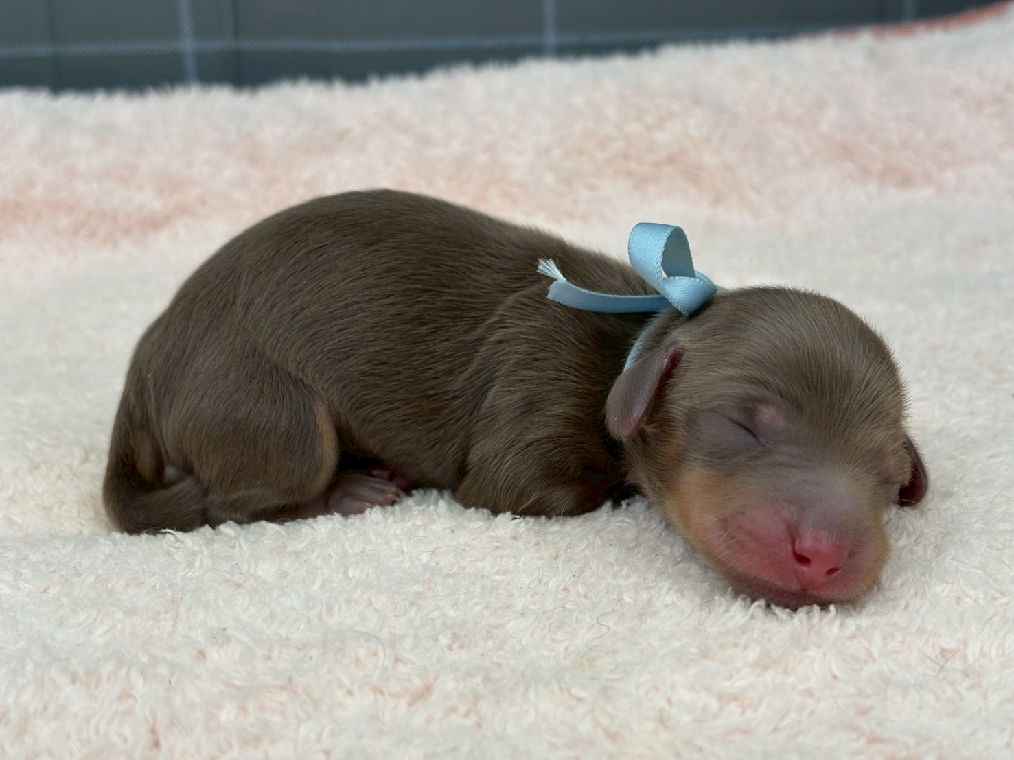 赤ちゃん写真1-2