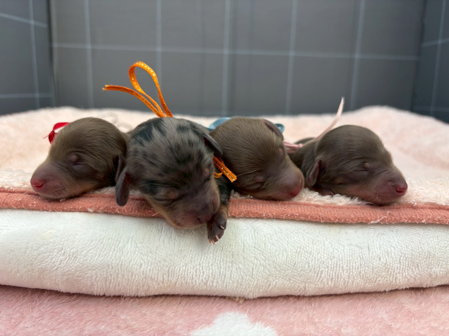 赤ちゃん写真1-3