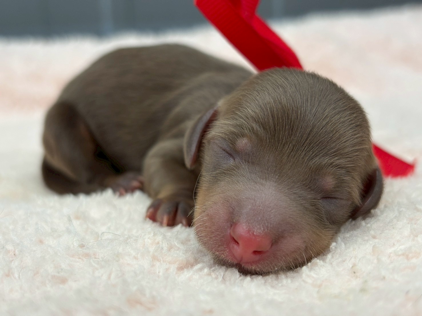 赤ちゃん写真1-1