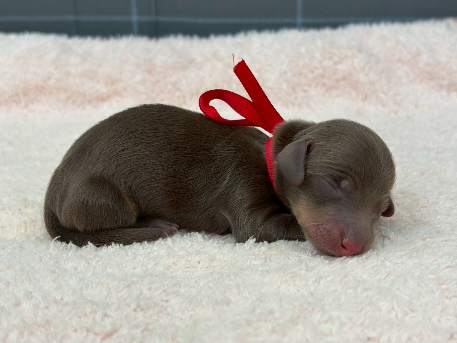 赤ちゃん写真1-2