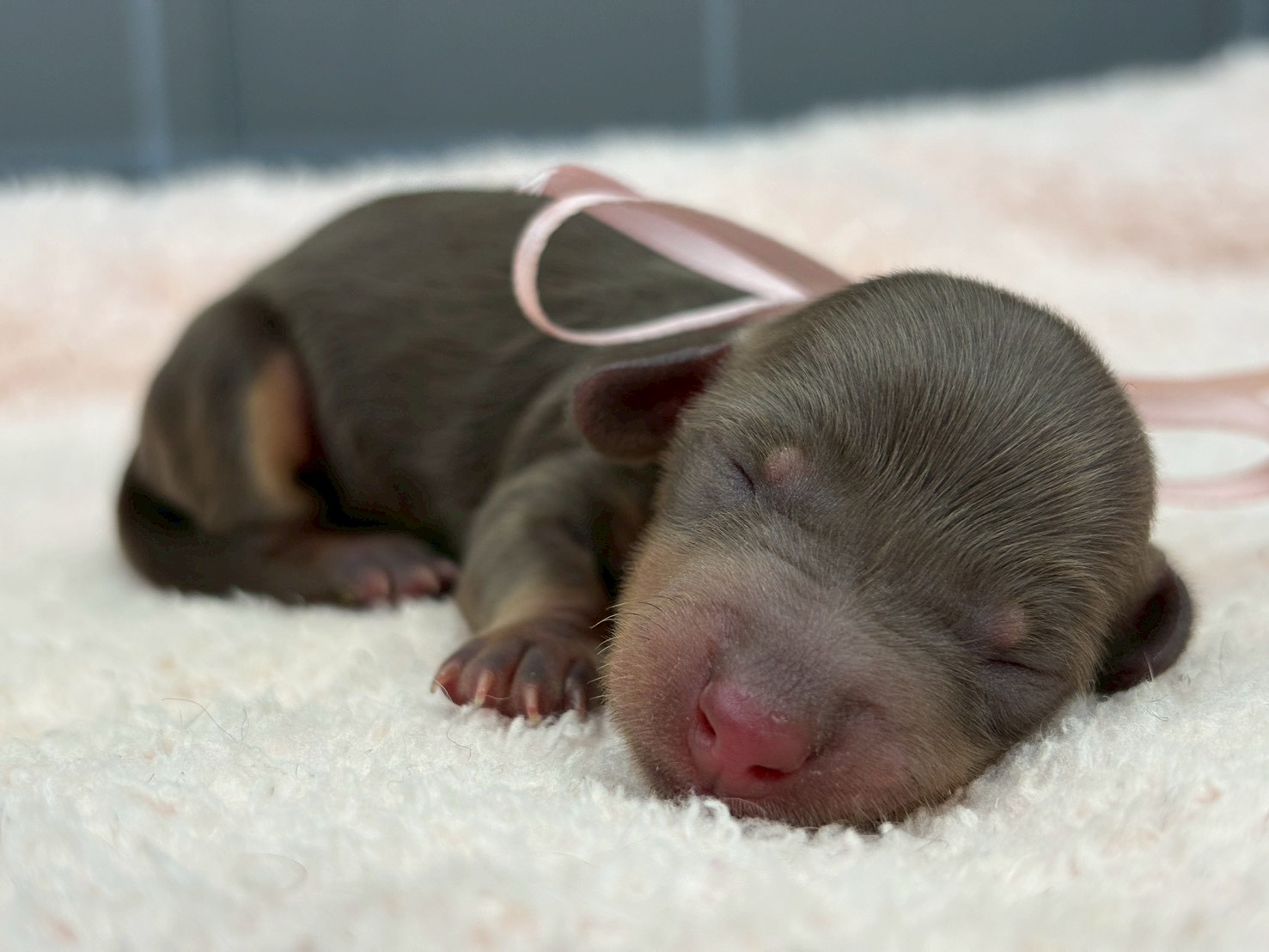 赤ちゃん写真1-1