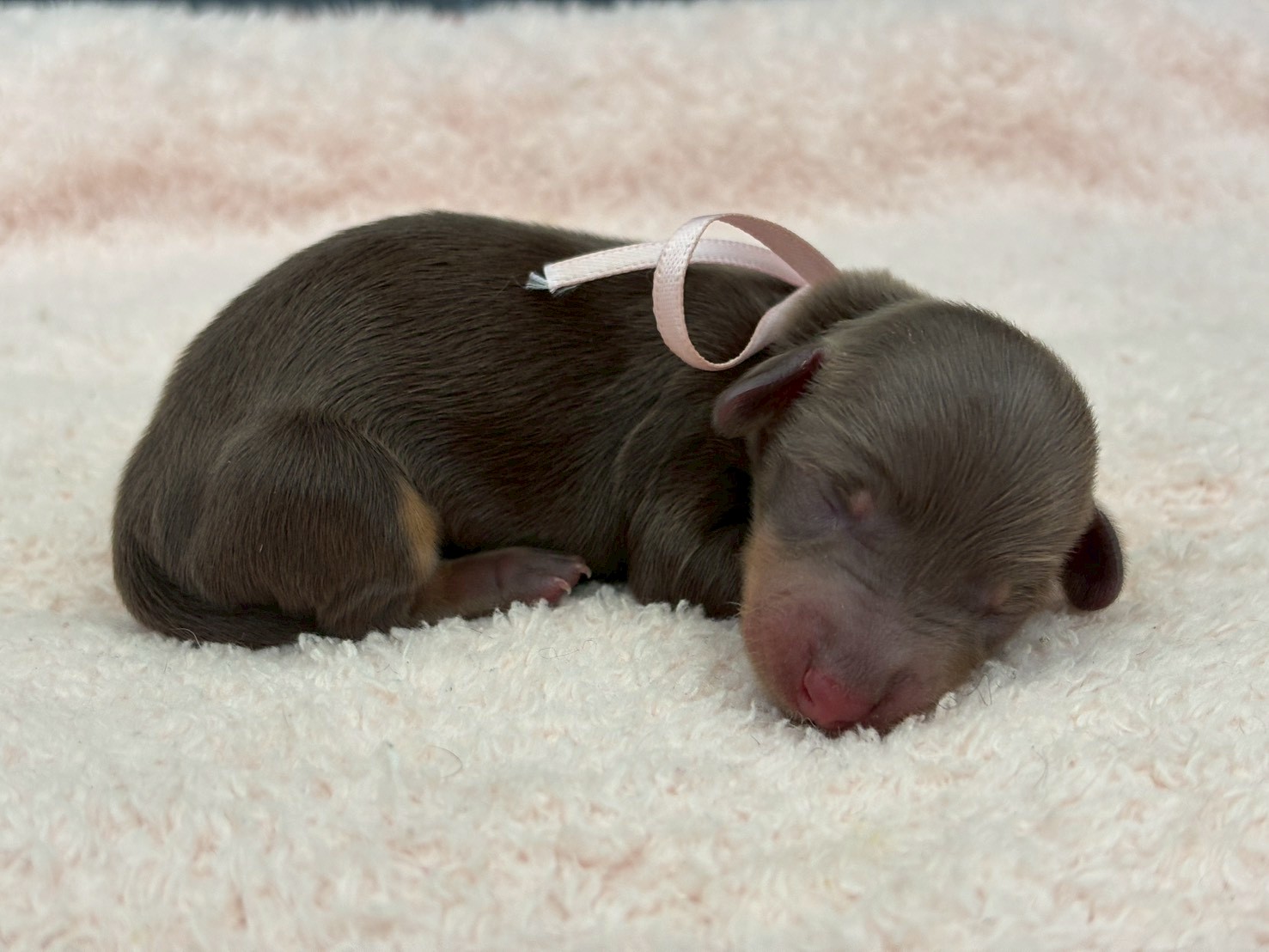 赤ちゃん写真1-2