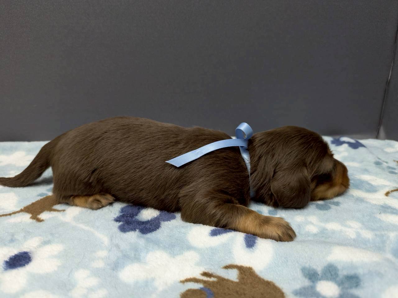 赤ちゃん写真2-2