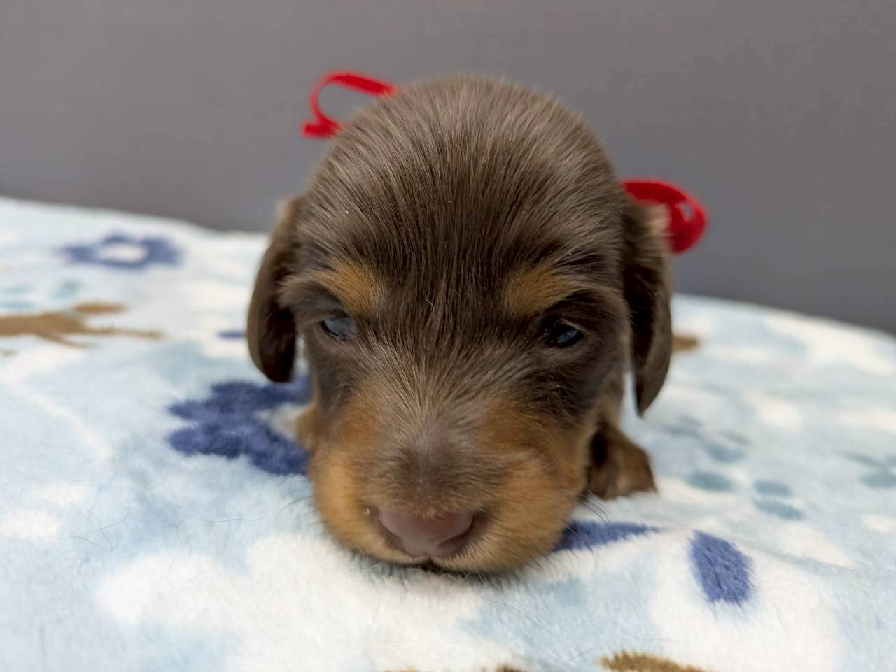 赤ちゃん写真2-1