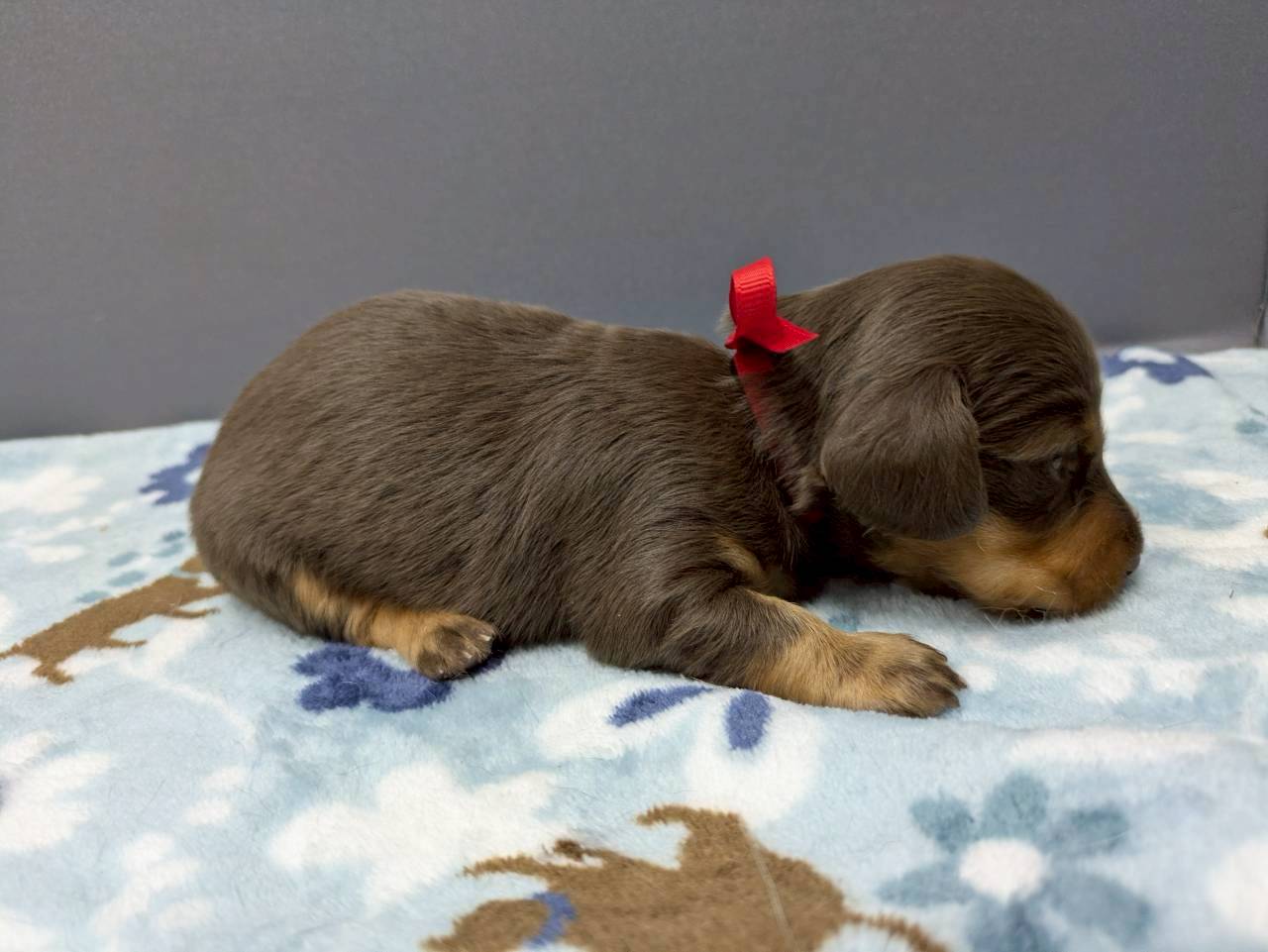 赤ちゃん写真2-2