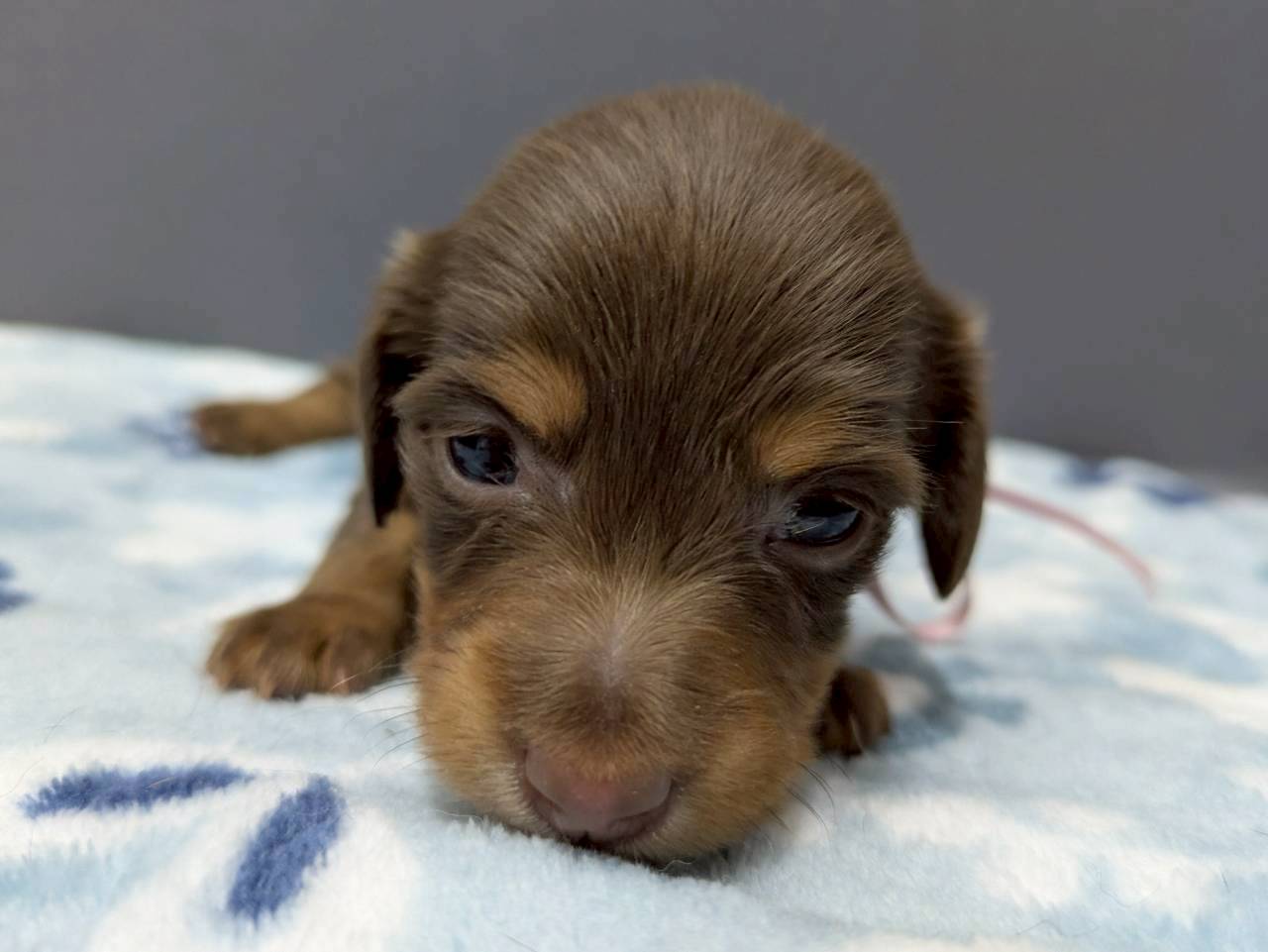 赤ちゃん写真2-1