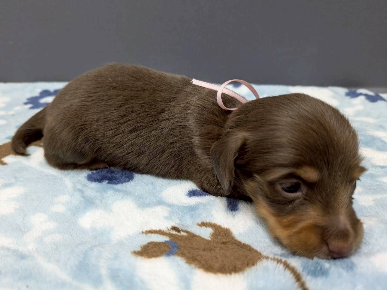 赤ちゃん写真2-2