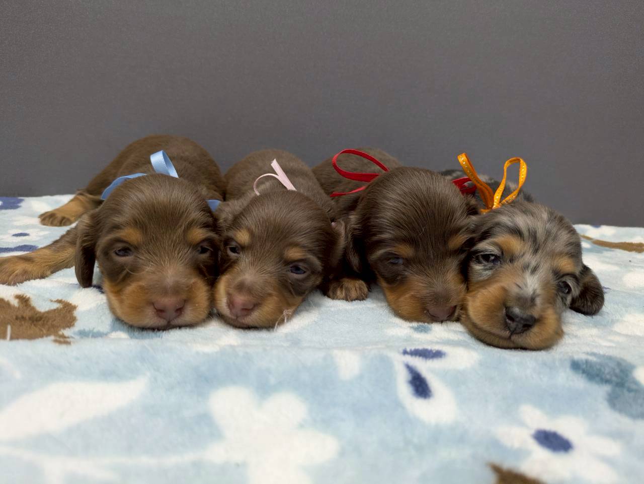 赤ちゃん写真2-3